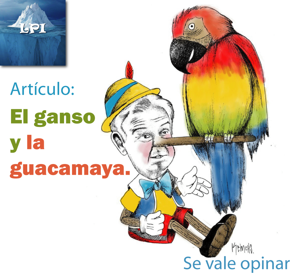 El ganso y la guacamaya