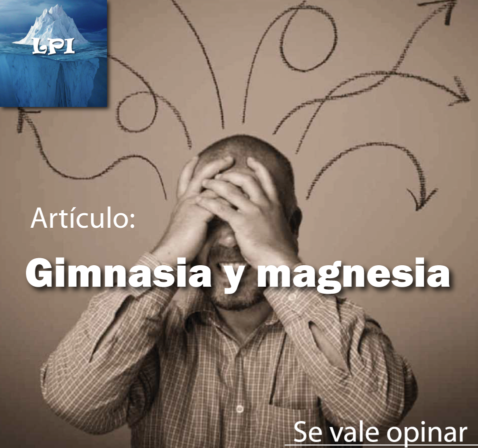 Gimnasia y Magnesia