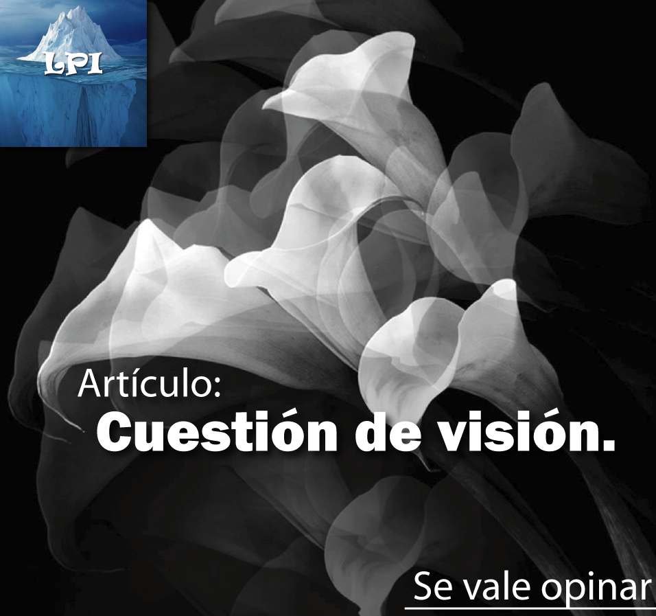 Cuestión de visión